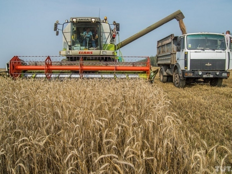В этом году в Сибири планируют собрать не менее 16 миллионов тонн зерна