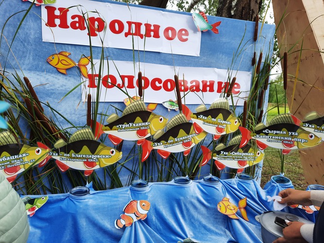 Получилась неплоха и навариста уха!
