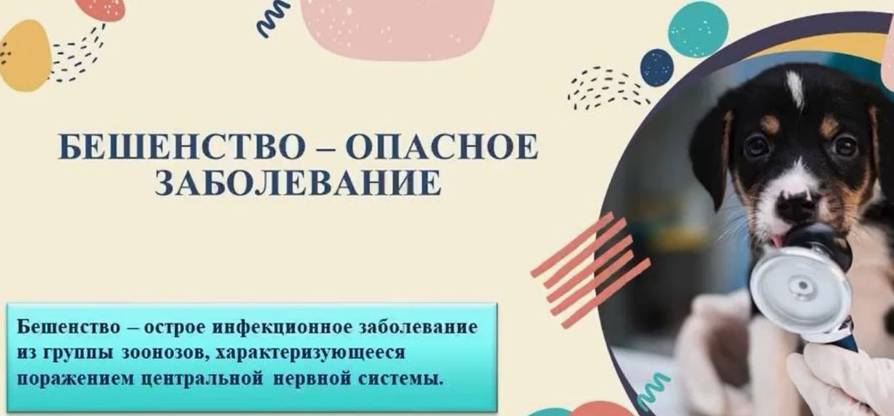 В Одесском произошёл случай заболевания домашних животных