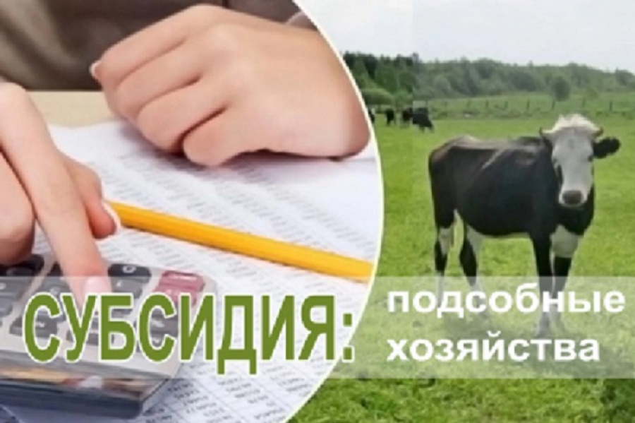 Владельцам ЛПХ выплатят субсидию